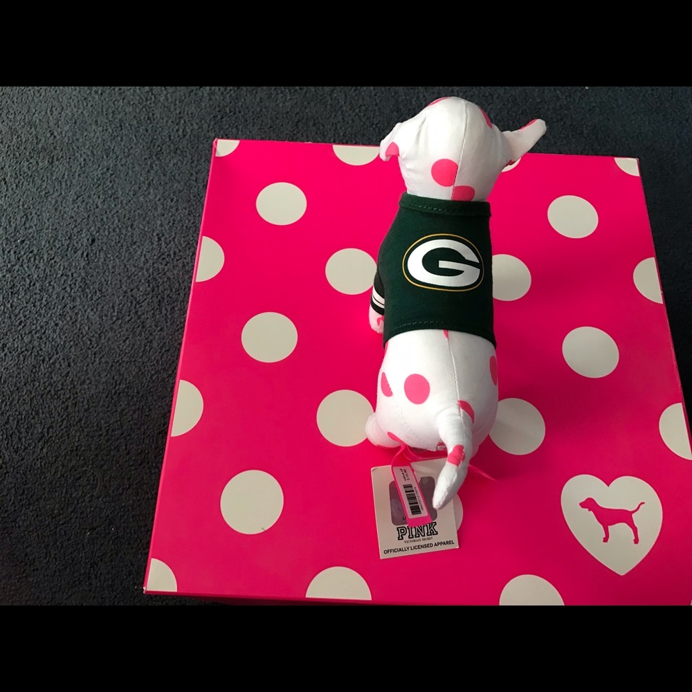 Victoria’s Secret mini dog